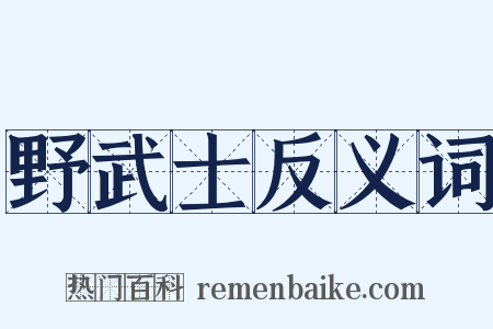 野武士反义词是什么意思的图片